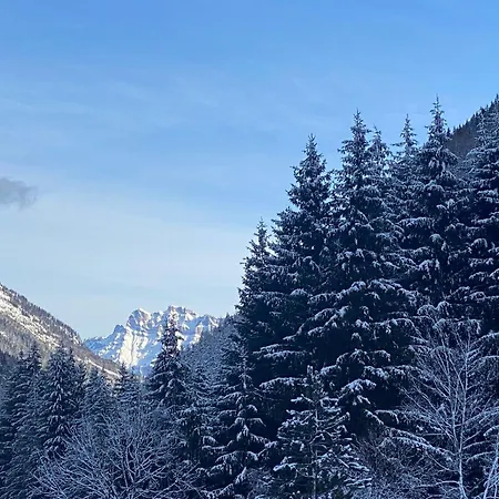 French Alps Luxury 瓦洛西讷