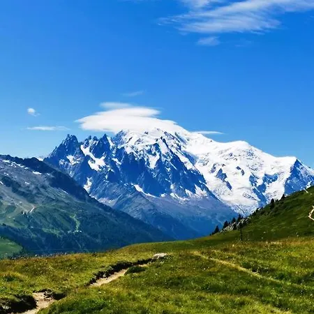 公寓 French Alps Luxury 瓦洛西讷